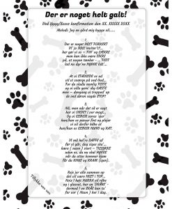 Der er noget helt galt - hund og kat - Konfirmation